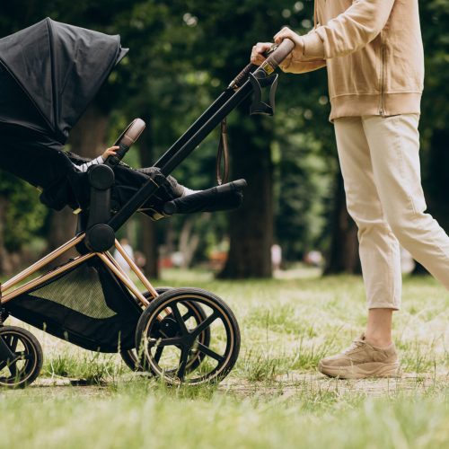 Young mother walking with baby carriage in park